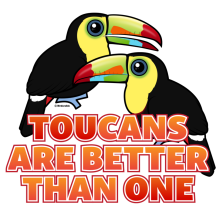 Toucans Are Better Than One