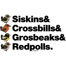 Siskins & Crossbills & Grosbeaks & Redpolls