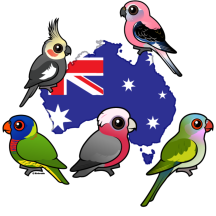 Australian Parrots