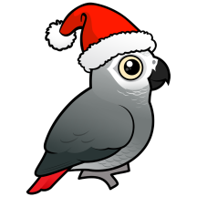African Grey Santa