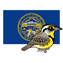 State Birdorable of Nebraska: Western Meadowlark
