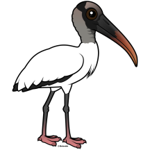 Birdorable Wood Stork