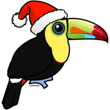 Toucan Christmas