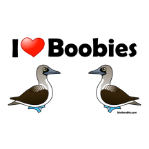 I Love Blue-footed Boobies