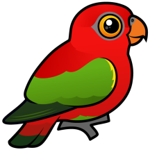 Chattering Lory