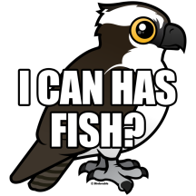 Osprey: I Can Has Fish?