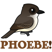PHOEBE!