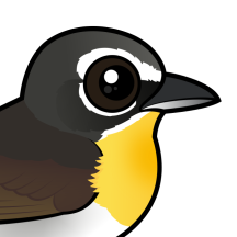 Chats & Honeyeaters