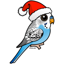 Santa Blue Budgie