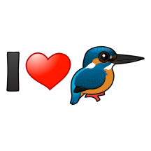 I Love Kingfishers
