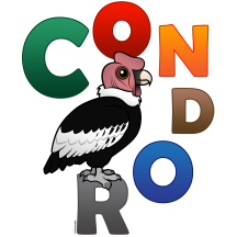 Colorful Condor
