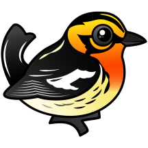 Blackburnian Warbler