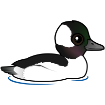 Birdorable Bufflehead