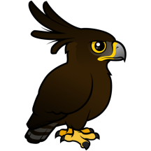 Long-crested Eagle