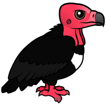 Red-headed Vulture