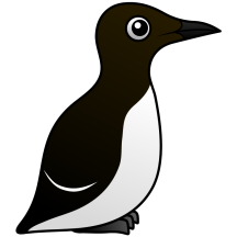 Common Murre (stand)