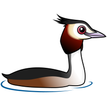 Great Crested Grebe