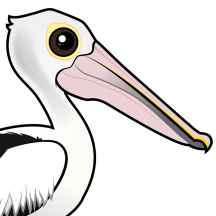 Waterbirds