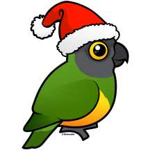 Senegal Santa