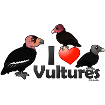 I Love Vultures (North America)