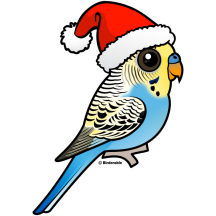 Blue & Yellow Santa Budgie