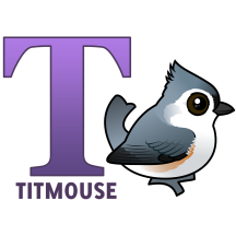 T is for Titmouse