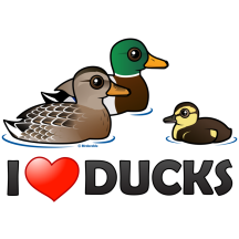 I Love Ducks