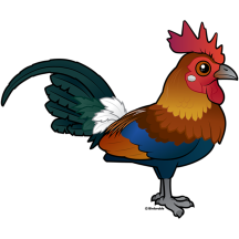 Red Junglefowl