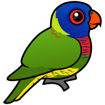 Birdorable Rainbow Lorikeet