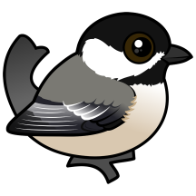Black-capped Chickadee