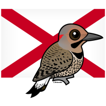 State Birdorable of Alabama: Northern Flicker