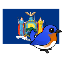 State Birdorable of New York: Eastern Bluebird
