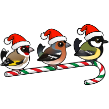 Three Christmas Songbirds (EU)