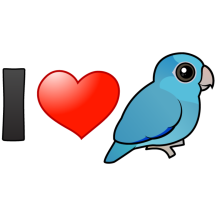 I Love Blue Pacific Parrotlets
