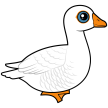 Embden Goose