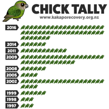 Kakapo Chick Count