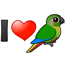 I Love Maroon-bellied Conures