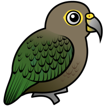 Birdorable Kea
