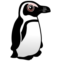 African Penguin