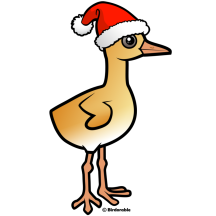 Baby Crane Santa