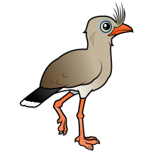 Red-legged Seriema