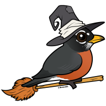 American Robin Witch Celebrates Halloween