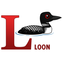 L is for Loon