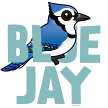 Jumbo Blue Jay