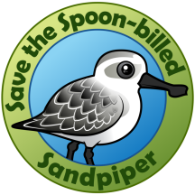Save the Spoon-billed Sandpiper