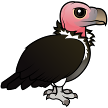 Lappet-faced Vulture