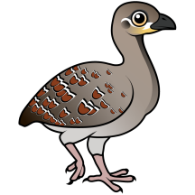 Malleefowl