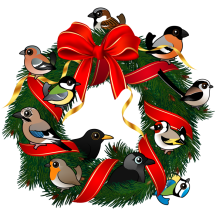 Birdorable European Garden Birds Christmas Wreath