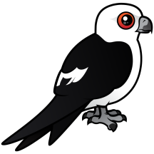 Swallow-tailed Kite perched