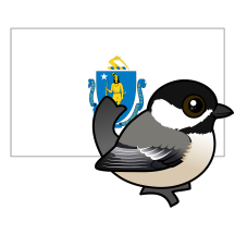 State Birdorable of Massachusetts: Black-capped Chickadee